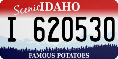 ID license plate I620530