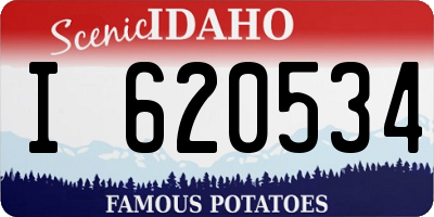 ID license plate I620534