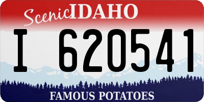 ID license plate I620541