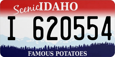 ID license plate I620554