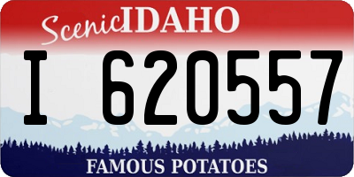ID license plate I620557