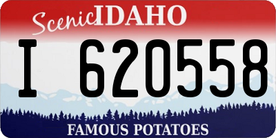 ID license plate I620558