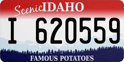 ID license plate I620559