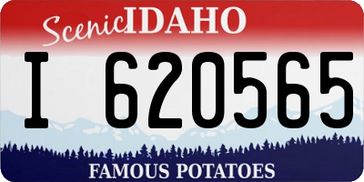 ID license plate I620565