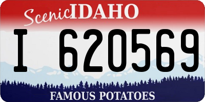 ID license plate I620569