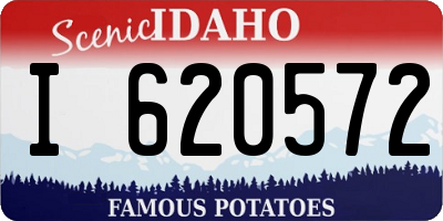 ID license plate I620572