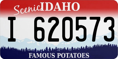 ID license plate I620573