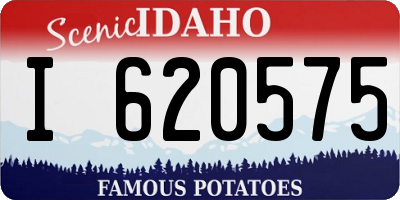 ID license plate I620575