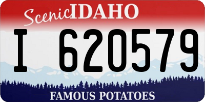 ID license plate I620579