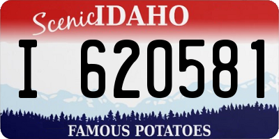 ID license plate I620581