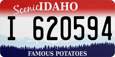 ID license plate I620594