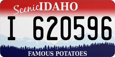 ID license plate I620596