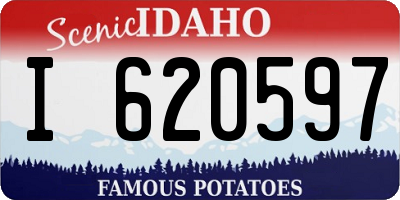 ID license plate I620597
