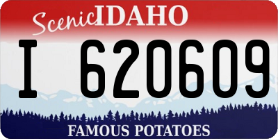ID license plate I620609