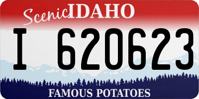 ID license plate I620623