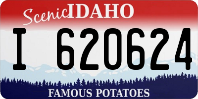 ID license plate I620624
