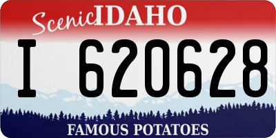 ID license plate I620628