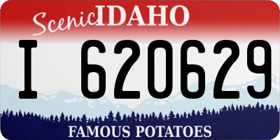 ID license plate I620629