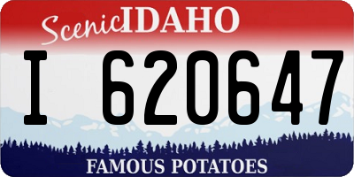 ID license plate I620647