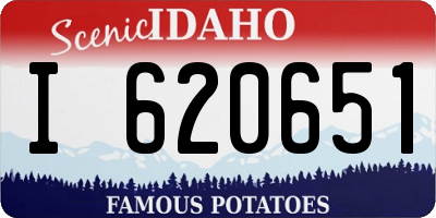ID license plate I620651