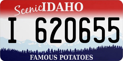 ID license plate I620655