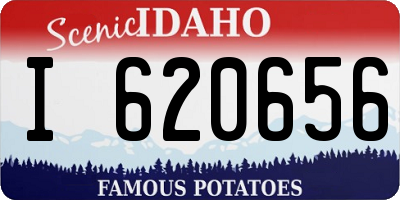 ID license plate I620656