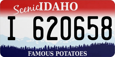 ID license plate I620658