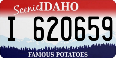 ID license plate I620659