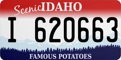 ID license plate I620663