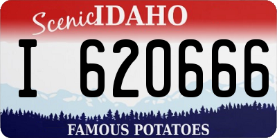 ID license plate I620666
