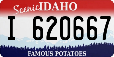 ID license plate I620667