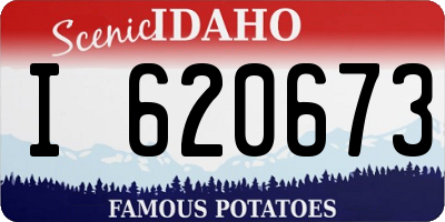 ID license plate I620673