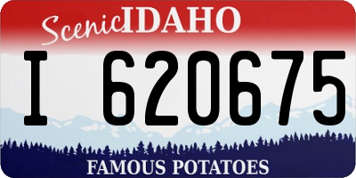 ID license plate I620675