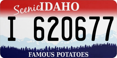 ID license plate I620677