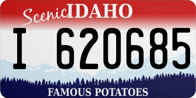 ID license plate I620685