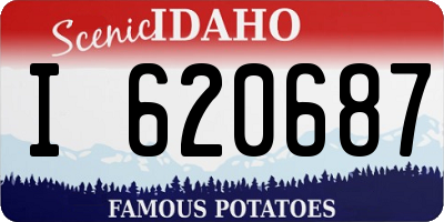 ID license plate I620687