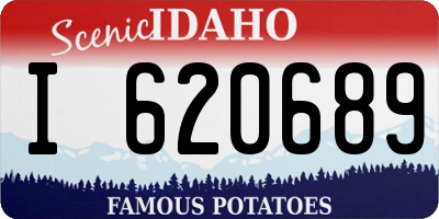 ID license plate I620689