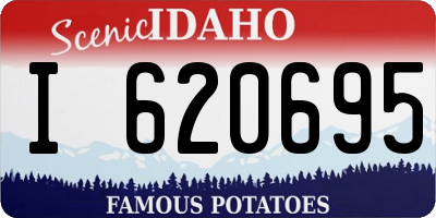 ID license plate I620695