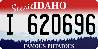 ID license plate I620696