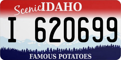 ID license plate I620699