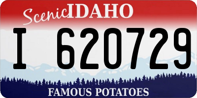ID license plate I620729
