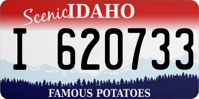 ID license plate I620733