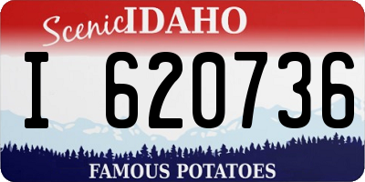 ID license plate I620736