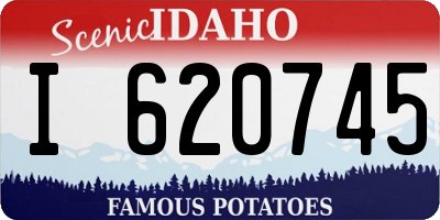 ID license plate I620745