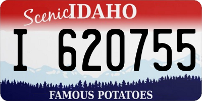 ID license plate I620755