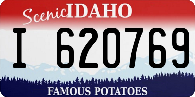 ID license plate I620769
