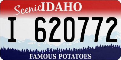 ID license plate I620772