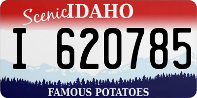 ID license plate I620785