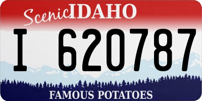 ID license plate I620787