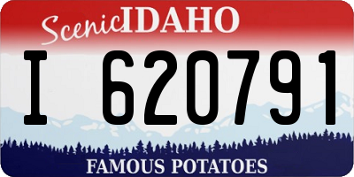 ID license plate I620791
